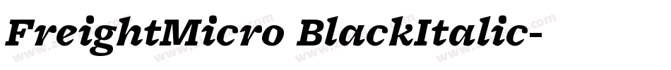 FreightMicro BlackItalic字体转换